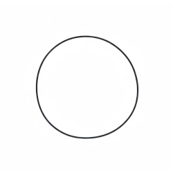 Anel de Borracha do Eixo - 148889A1