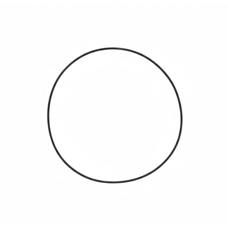 Anel de Borracha do Eixo - 148889A1