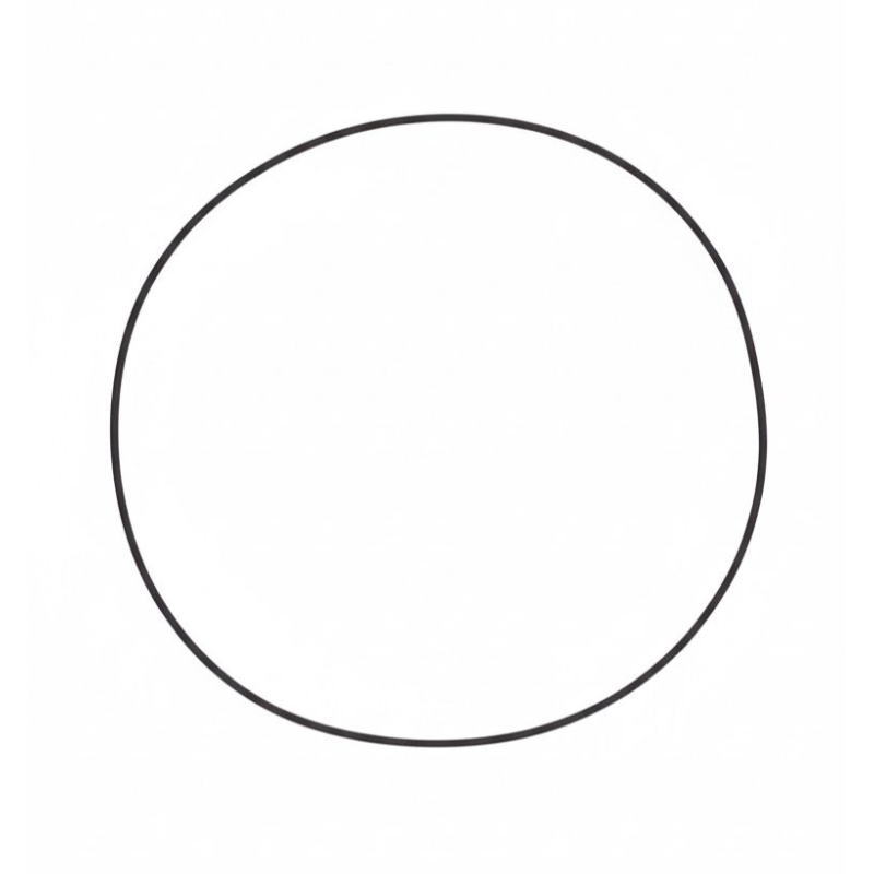 Anel Viton do Cubo Diferencial - 148944A1