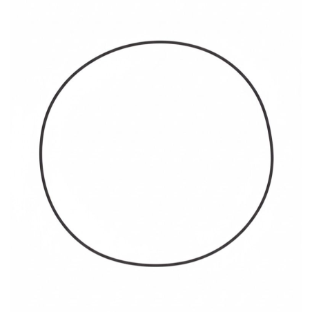 Anel Viton do Cubo Diferencial - 148944A1
