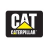 Caterpillar