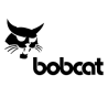 Bobcat