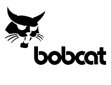 Bobcat